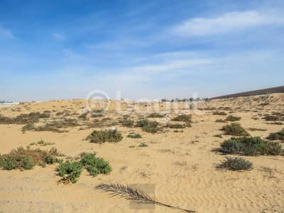 Plot for Sale in Al Helio, Ajman - IMG_7367. jpg