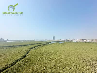 CITY AND MANGROVE VIEW|PRIME LOCATION|CENTRAL AC