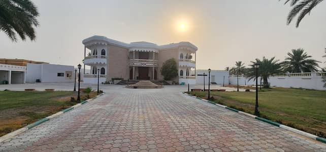 10 Bedroom Villa for Rent in Dasman, Sharjah - WhatsApp Image 2024-08-03 at 17.50. 03. jpeg