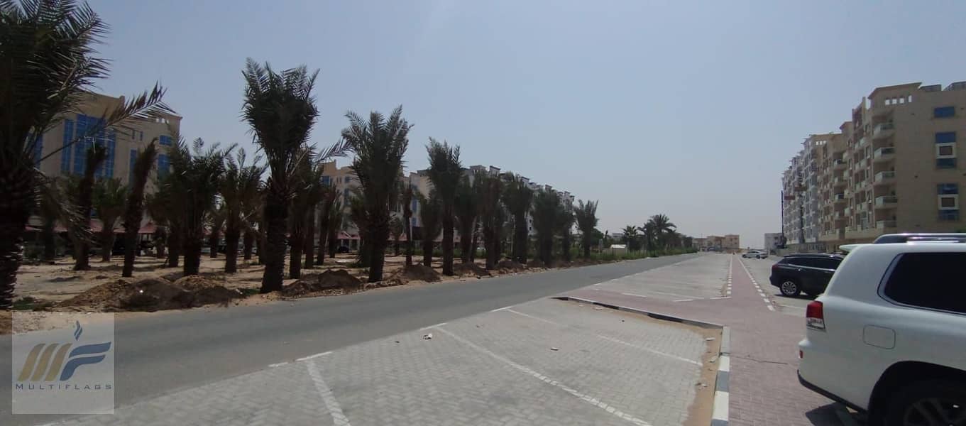 27 WhatsApp Image 2024-08-15 at 16.53. 03_8f8eccc4. jpg
