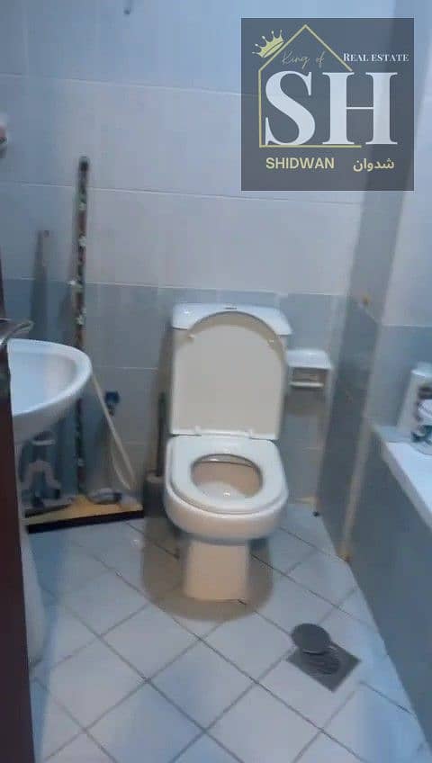8 IMG646921. jpg