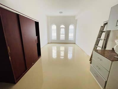 Beautiful studio | Facing park | All amenities