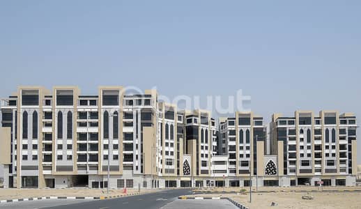 محل تجاري  للايجار في تجارية مويلح، الشارقة - محل تجاري في بناية اصالة،تجارية مويلح 85000 درهم - 6516387