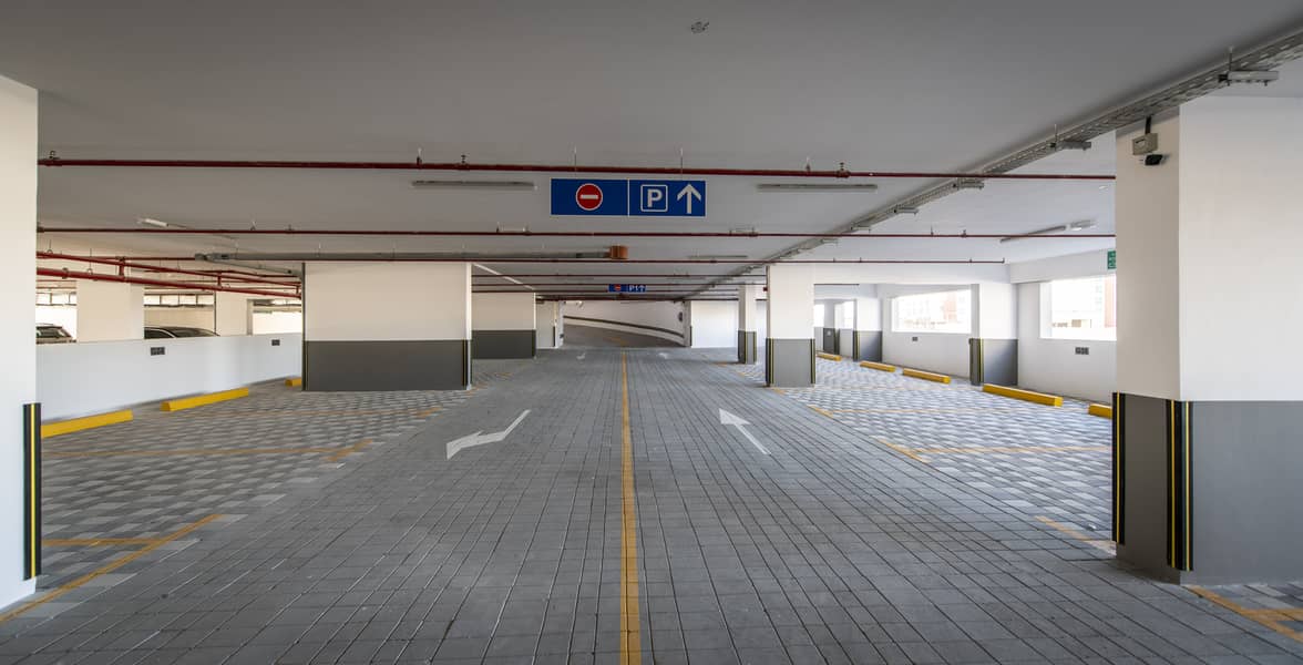 2 _DAU5362. jpg
