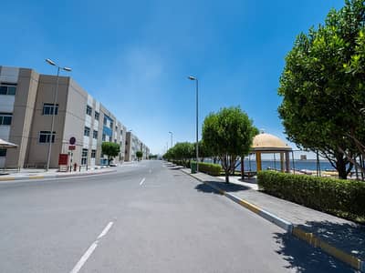 Labour Camp for Rent in Mussafah, Abu Dhabi - DSC_3956. jpg