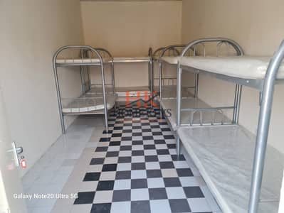 Трудовой лагерь в аренду в Мухайсна, Дубай - df64a5dd-95b4-4da4-bb28-5a72a2918a36. jpeg