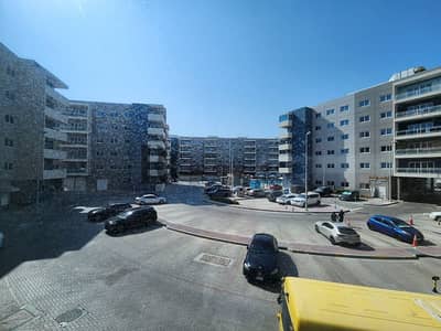 1 Bedroom Flat for Rent in Al Reef, Abu Dhabi - WhatsApp Image 2024-09-10 at 3.14. 06 PM. jpg