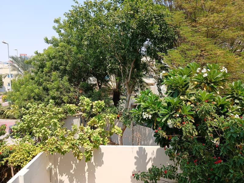 View From Balcony. jpg