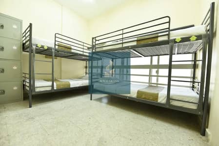 Labour Camp for Rent in Mussafah, Abu Dhabi - 1161864_17052803170053280348 - Copy. jpg