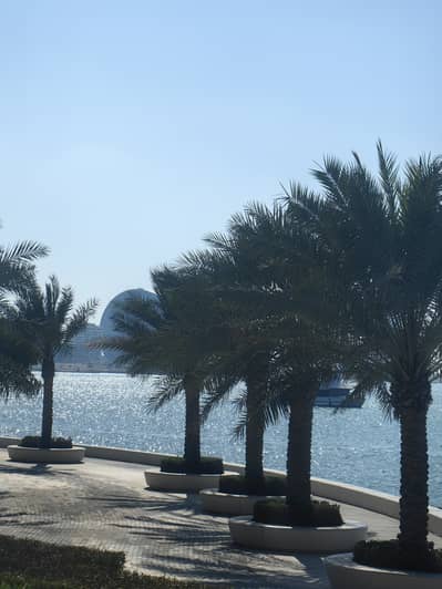 2 Bedroom Flat for Sale in Yas Island, Abu Dhabi - IMG_20240210_144927. jpg