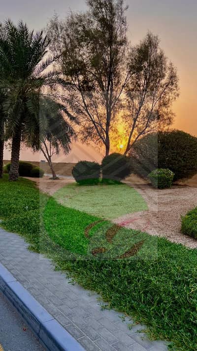 Plot for Sale in Al Zorah, Ajman - WhatsApp Image 2024-07-31 at 5.27. 58 PM (1). jpeg