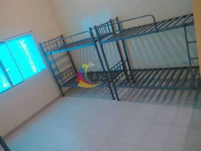 Labour Camp para en Alquiler en Al Quoz, Dubai - Capture. JPG