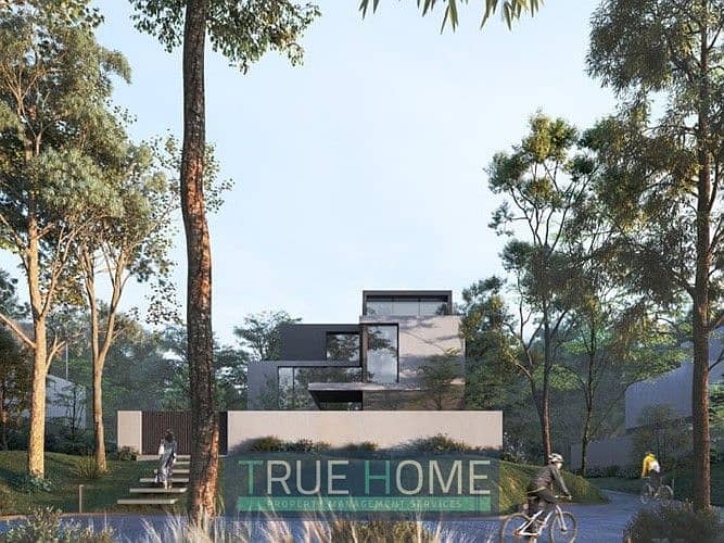 6 robinia. jpg