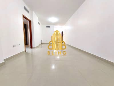 2 Bedroom Apartment for Rent in Hamdan Street, Abu Dhabi - COPY1. jpeg