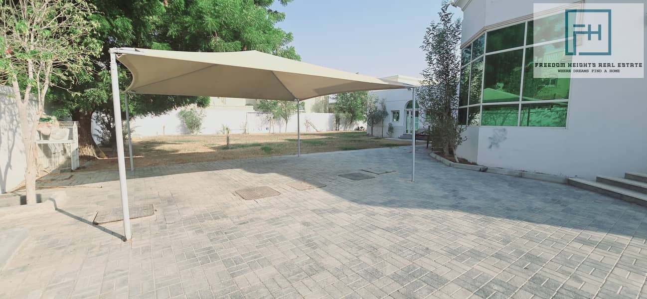 20 1000043428. jpg