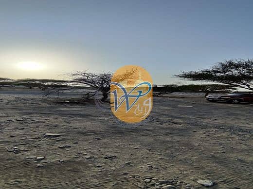 6 صورة واتساب بتاريخ 1446-03-27 في 17.09. 38_9e86c71b. jpg