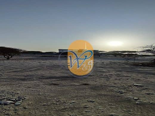 8 صورة واتساب بتاريخ 1446-03-27 في 17.09. 38_da5f1877. jpg