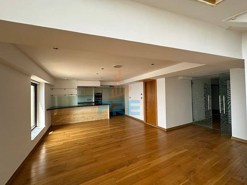 4 Sadaf Loft pics (2). jpeg