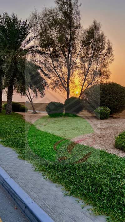 Plot for Sale in Al Marjan Island, Ras Al Khaimah - WhatsApp Image 2024-07-31 at 5.27. 58 PM (1). jpeg