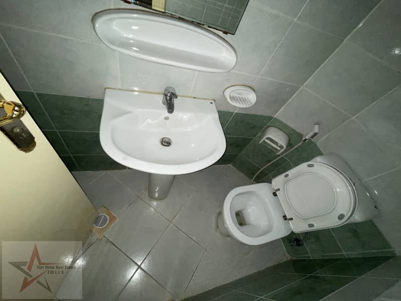 16 IMG_6782. jpeg