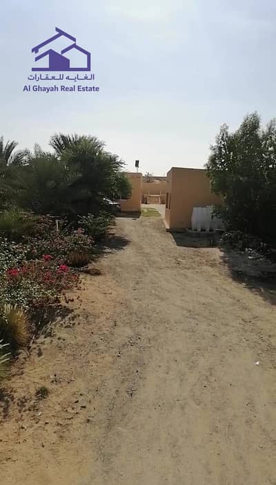 Plot for Sale in Kabir, Umm Al Quwain - WhatsApp Image 2024-10-17 at 11.57. 40 AM. jpeg