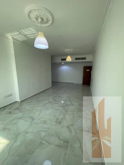 شقة 2 غرفة نوم للايجار في النعيمية، عجمان - 91d25eb1-7f7e-4d14-b906-e04ad823f71a. jpg