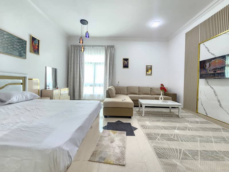 Brand New / Furnished Studio / Near Forsan Village