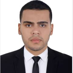 Hossam Elshafei