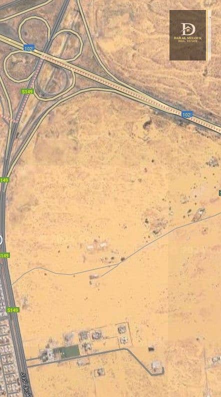 2 البليده 2. jpg