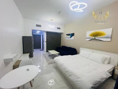 Spacious Studio Upgraded Apartment | Road View|