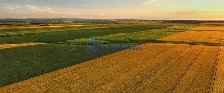 2 canola-field-aerial_iStock-868708146-720x300. jpg