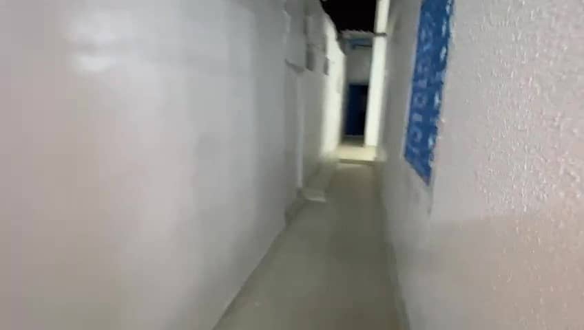 5 IMG317207. jpg