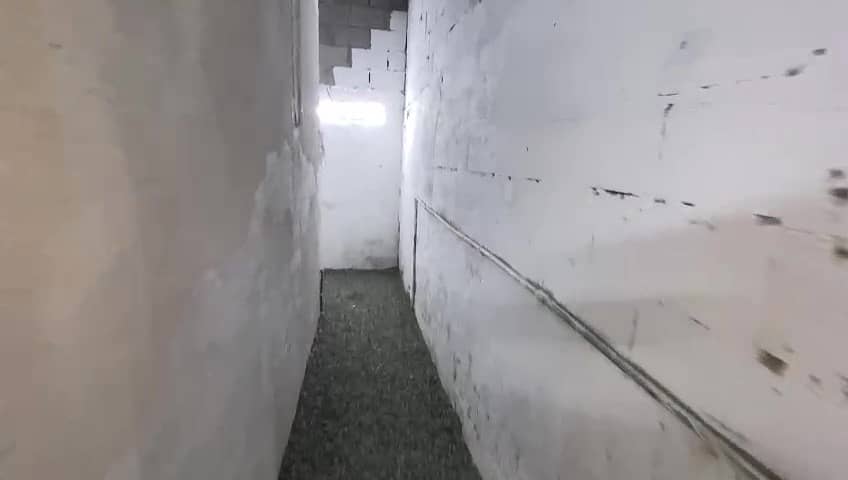 9 IMG306552. jpg