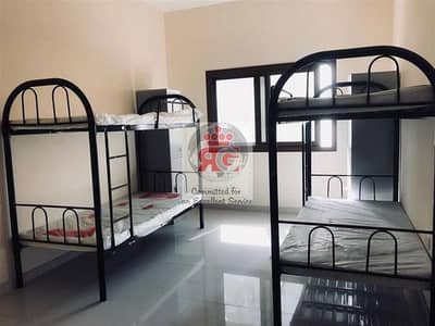 Labour Camp for Rent in Mussafah, Abu Dhabi - 4. jpeg
