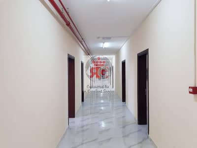 Labour Camp for Rent in Mussafah, Abu Dhabi - 2. jpeg