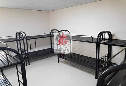 Labour Camp for Rent in Mussafah, Abu Dhabi - 1. jpeg