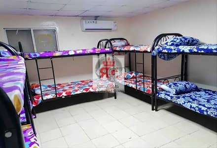 Labour Camp for Rent in Mussafah, Abu Dhabi - 2023011816740478964271. jpg