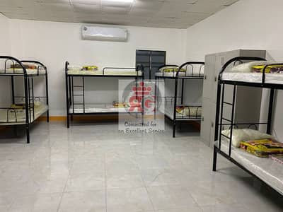 Labour Camp for Rent in Mussafah, Abu Dhabi - 2. jpg
