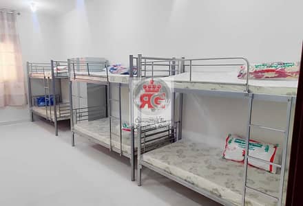 Labour Camp for Rent in Mussafah, Abu Dhabi - 2023011816740478927345. jpg