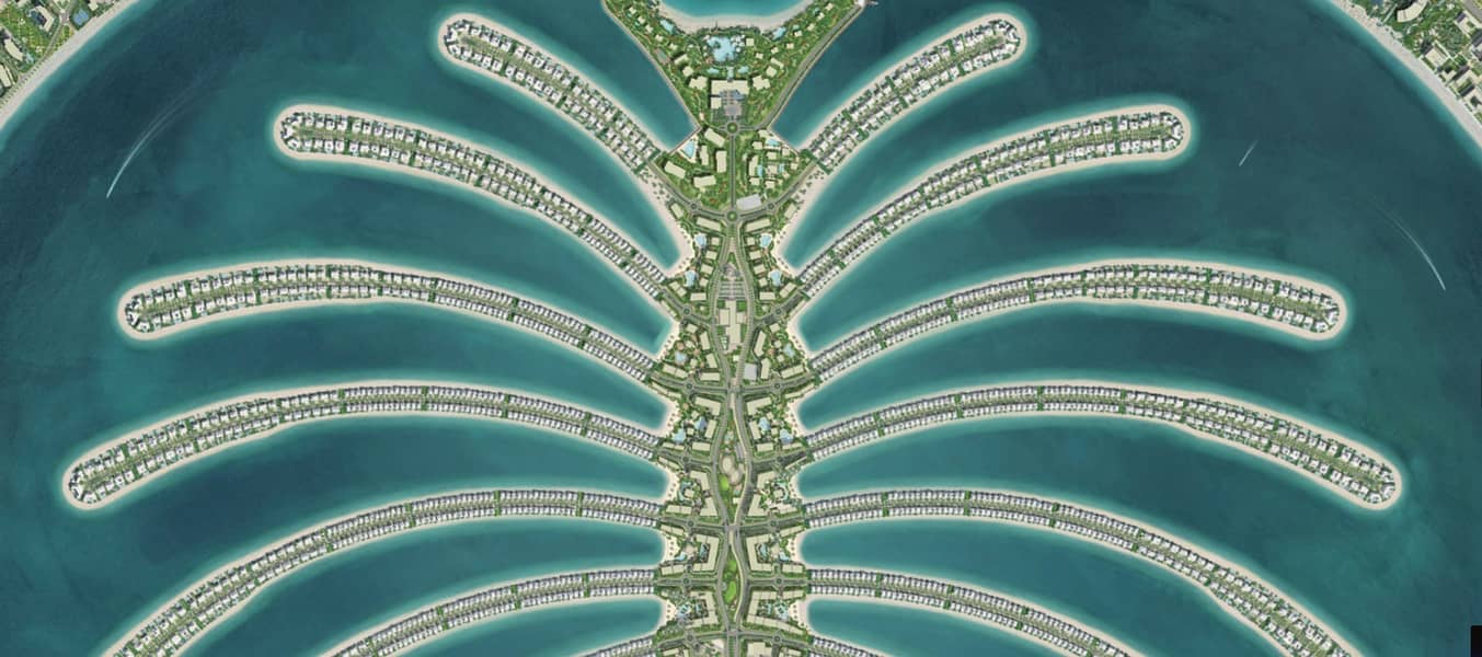 2 6. jpg