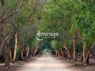 فیلا 3 غرف نوم للبيع في الجرف، أبوظبي - 82c510b55426c1d34dc5156ef3c0b446bd525df2. jpg