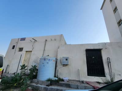 7 Bedroom Villa for Rent in Liwara 1, Ajman - WhatsApp Image 2024-11-08 at 15.54. 47. jpeg