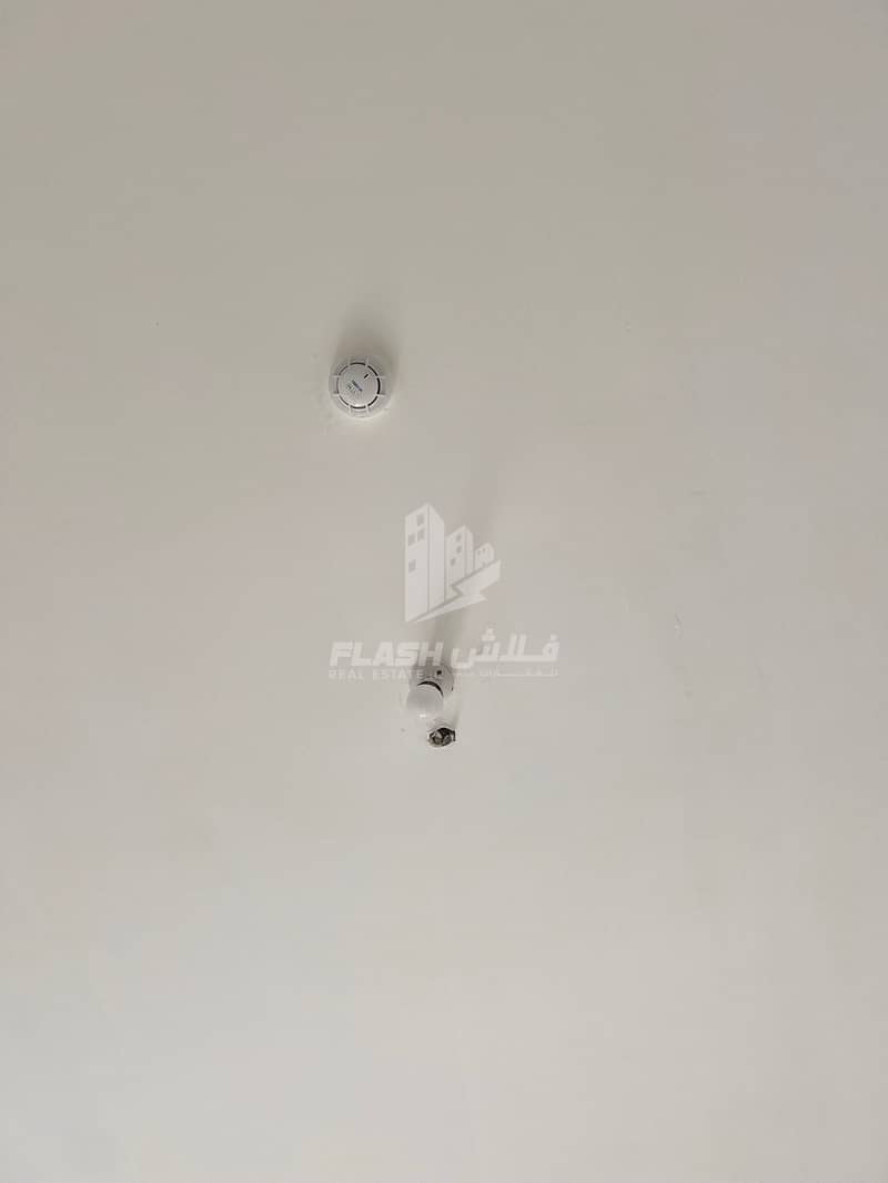 18 IMG_9293. JPEG