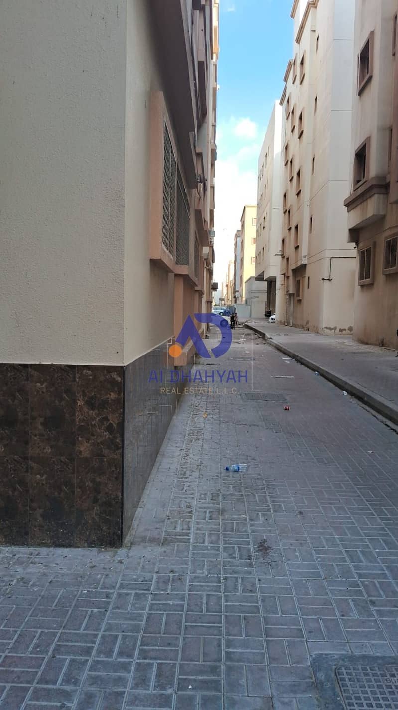 3 WhatsApp Image 2024-11-11 at 4.10. 51 PM (1). jpeg