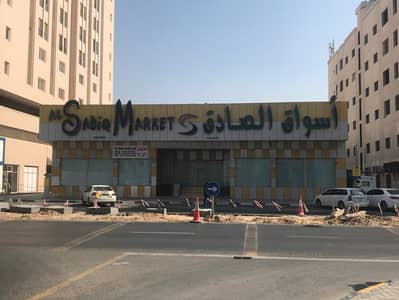 Building for Rent in Maysaloon, Sharjah - صورة واتساب بتاريخ 2024-11-12 في 13.22. 58_8a168a8d. jpg