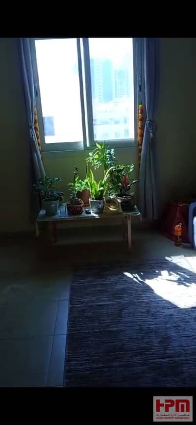 Best Price 1BHK | Khalifa Street | Unfurnished