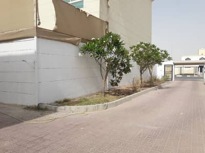 Excellent 6 Bedrooms Villa with separate entrance Excellent 6 Bedrooms Villa with separate entrance