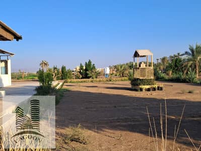 Other Commercial for Sale in Al Dhaid, Sharjah - WhatsApp Image 2024-11-13 at 9.57. 37 PM. jpeg