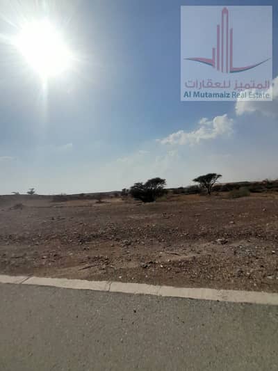 Plot for Sale in Al Manama, Ajman - WhatsApp Image 2024-10-12 at 10.13. 00 AM. jpeg