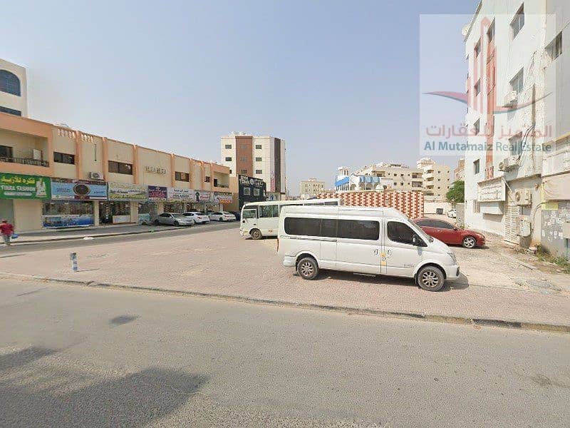 3 نخيل1. jpg